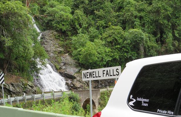 Port Macquarie Day Tour to Water Falls and Lookouts