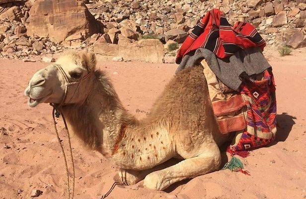 03 Days Petra, Wadi Rum & Dead Sea from Amman