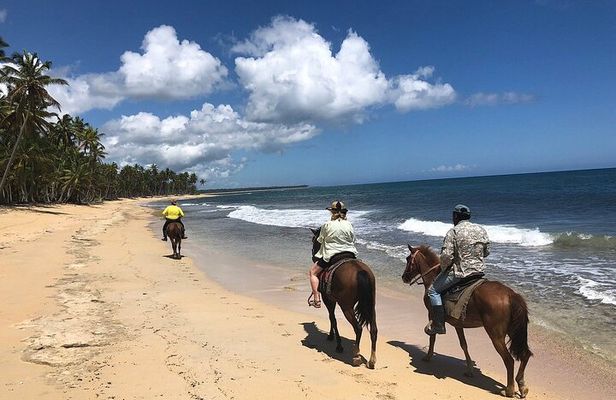 Macao Beach Horseback Ride from Punta Cana