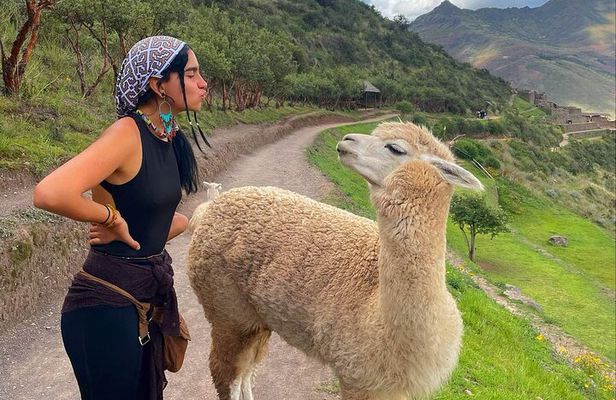 Sacred Valley of the Incas Tour in 1 Day