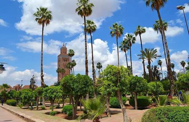 Private day trip to Marrakech from Casablanca