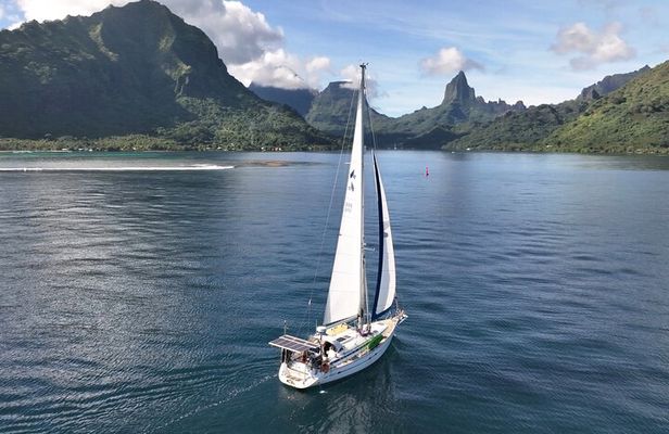 Private Sunset Sailing Excursion Sail yourself Mori Ora