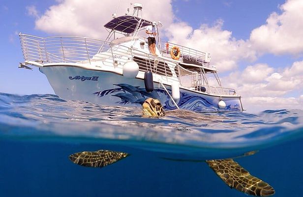 Waikiki Turtle Canyon Snorkeling Tour with Hula Show