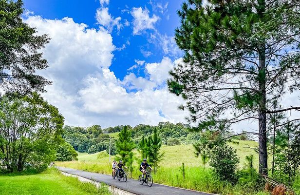 Self Guided E Bike Ride - Distillery, Rainforest & Rail Trail
