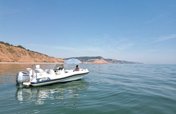 Luxury Private Rib Tour to Babbacombe Bay from Exmouth Marina