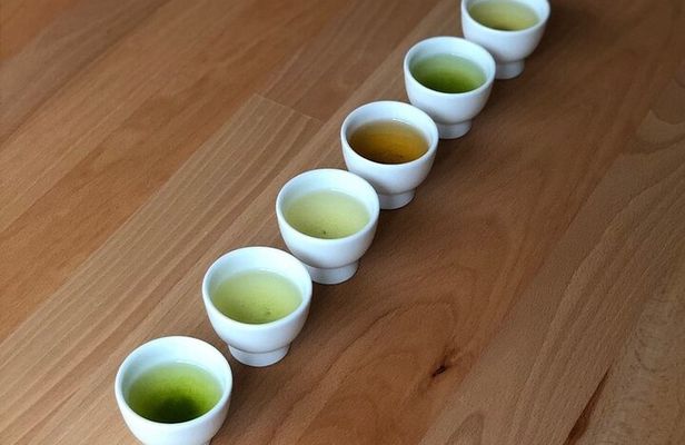 Authentic Japanese tea tasting session: sencha, matcha, gyokuro