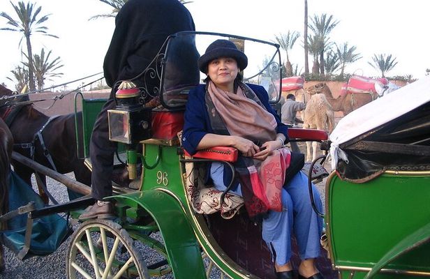 1-Hour Horse Carriage Drawn Marrakech City Tour