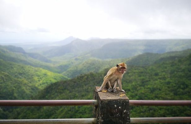 Mauritius Guided South Tour "Private"