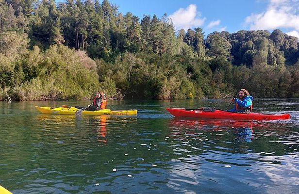 Tour Guiado en Kayak por Rio Maullin / Medío dia en Pto. Varas