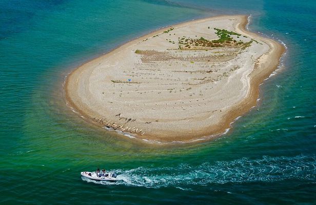 Private Boat Sightseeing Tour along The North Norfolk Coast
