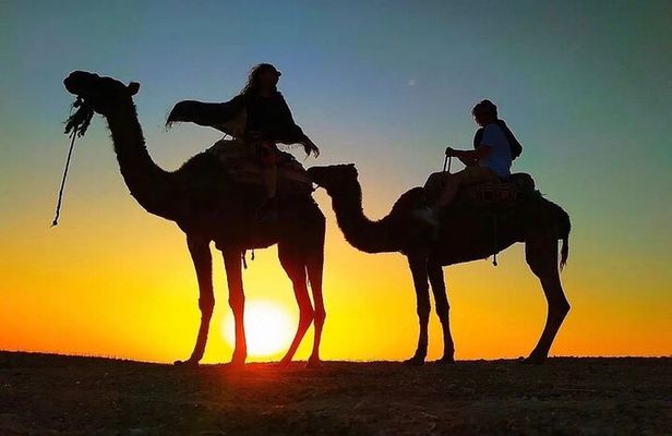 Dinner Under the Stars Desert Agafay & Sunset Camel Ride
