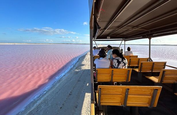 Admission Ticket to Safari in the Pink Lagoons of Las Coloradas