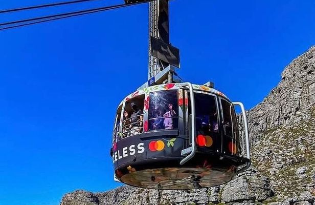 Table Mountain,Cape Point & Penguins Shared Tour, From Cape Town 