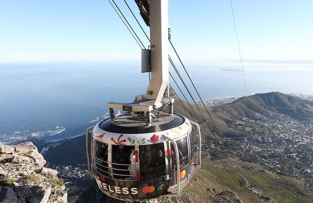 Table Mountain, Cape Point & Penguins Private ,From Cape Town