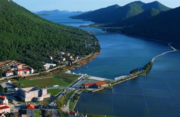 Ston Tour: City Walls, Saltworks, Wine & Adriatic Seafood