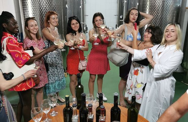 Country side Dubrovnik gastro and wine tour