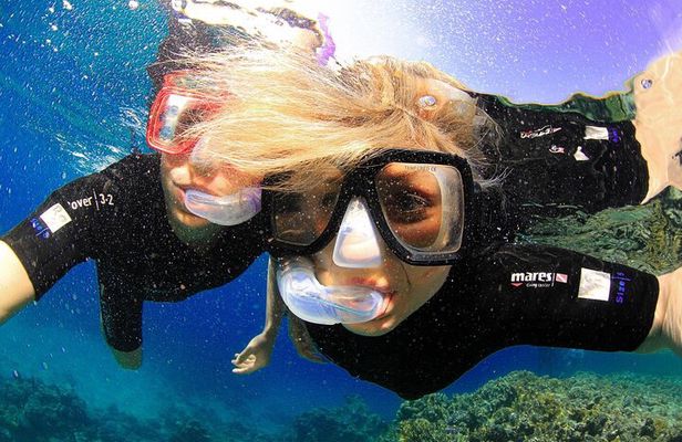 Tiran Island Snorkeling Experience by Yacht Sharm El Sheikh