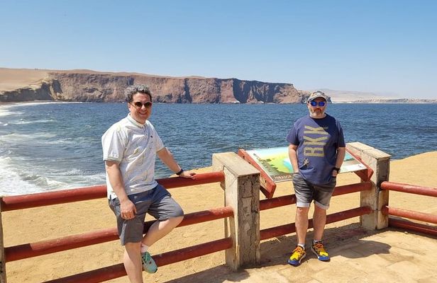 Ballestas Islands, Paracas Reserve & Skulls Museum Private Tour