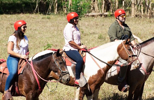 2 Hour Private Horseback Riding in Tarcoles Costa Rica