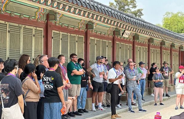 Best Seoul City Tour (Gyeongbokgung Palace,Insadong,Namsan Tower)