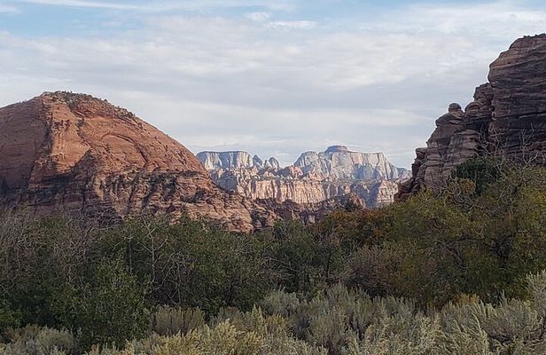 Zion National Park/Kolob Terrace Private 1/2 Day Sightseeing Tour