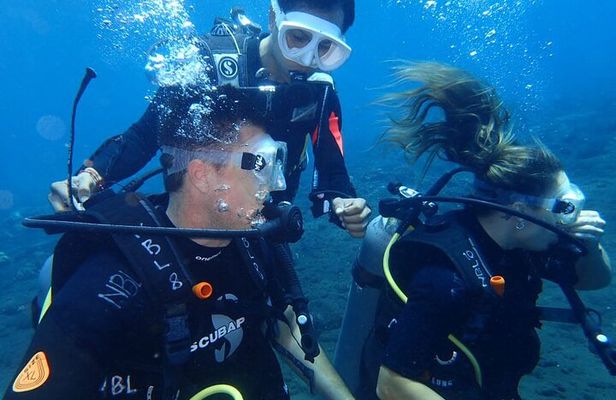 4-Hour Tulamben Private Diving USAT Liberty Ship Wreck and Coral