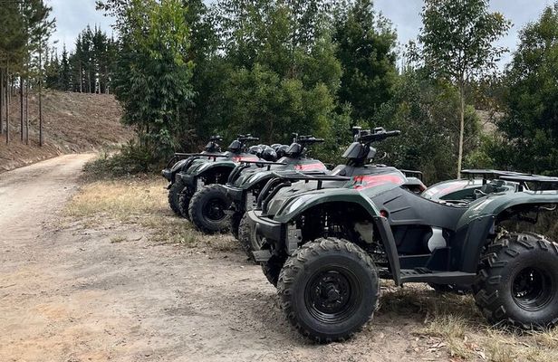 2-Hour Quad Biking Guided Excursion Through the Knysna Forests 