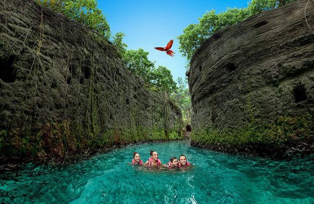 Xcaret Park Day Trip, transportation and Cultural Night Show
