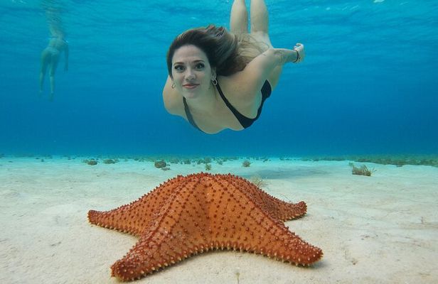 Cozumel El Cielo Snorkeling Tour