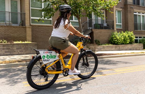 Guided E-Bicycle Sightseeing Tour