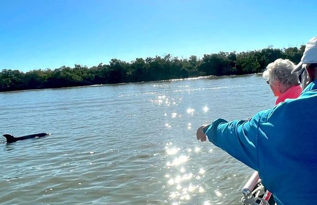 Private Best of Marco Island Dolphin Tour