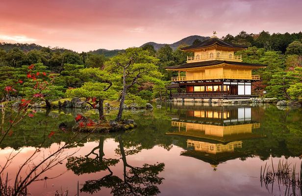 Kyoto Highlights: Half Day Customized World Heritage Walking Tour