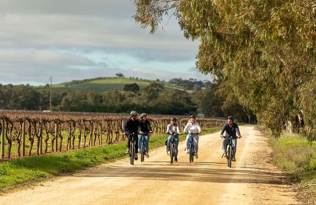 Experience Barossa Valley by E-bike