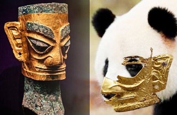 Sanxingdui Museum+Chengdu Panda Base or Jinsha Site Tour