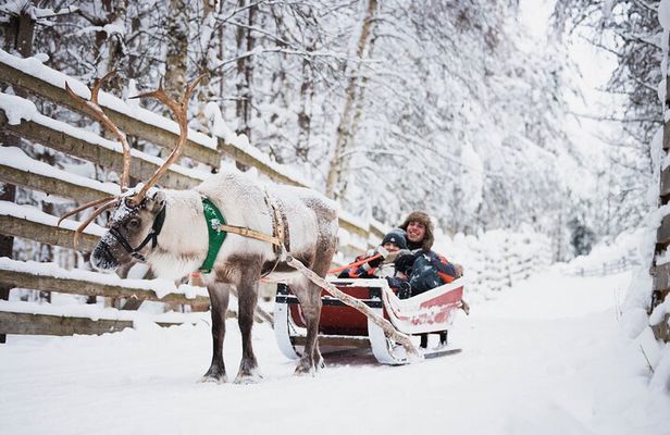 Arctic Circle Highlights Family Day