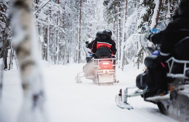 Winter highlights: Snowmobile, Arctic Animals And Santa`s Village