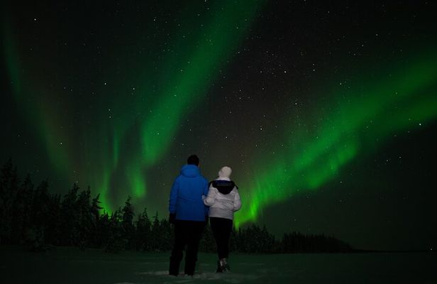 Rovaniemi: Northern Lights Tour