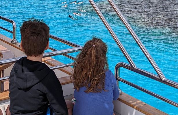 Satayeh Reef , Swimming with Dolphins, Snorkeling in Marsa Alam