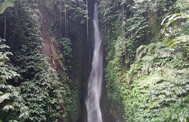 Private Tour from Leke-Leke Waterfall to Jatiluwih Rice Terrace