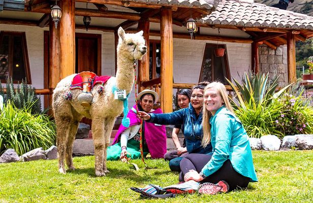 Full Day Private Tour to Chimborazo and La Moya Community