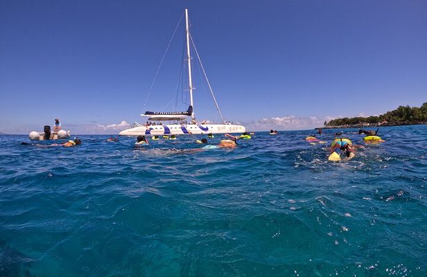 Sailing Catamaran Excursion