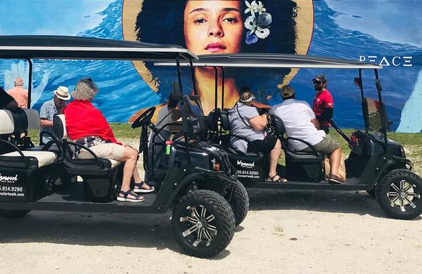 Small-Group Brewery Golf Cart Tour of Wynwood with a Local Guide