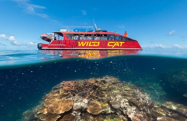 Outer Reef Snorkel Adventure in Airlie Beach