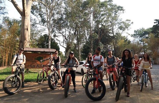 Coffee and Gastronomic Bike Tour in Antigua