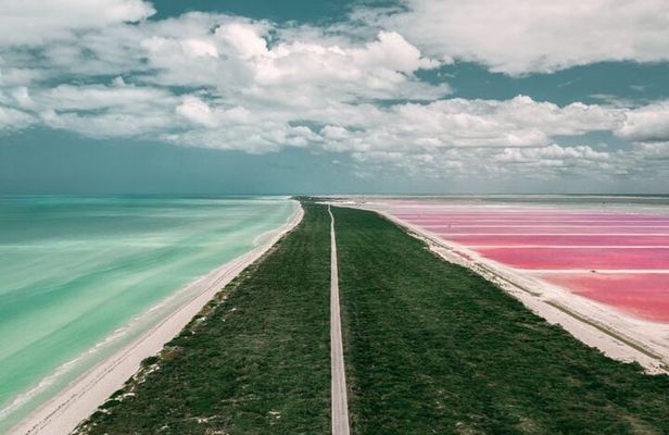 Full Day Tour to Coloradas & Rio Lagartos