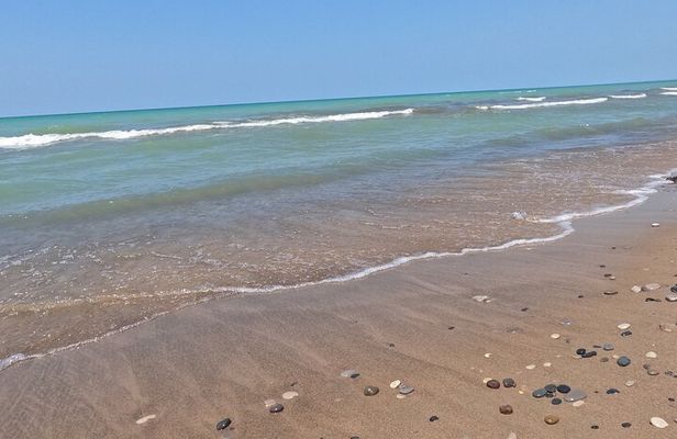 Full-Day Beach Day at Grand Bend