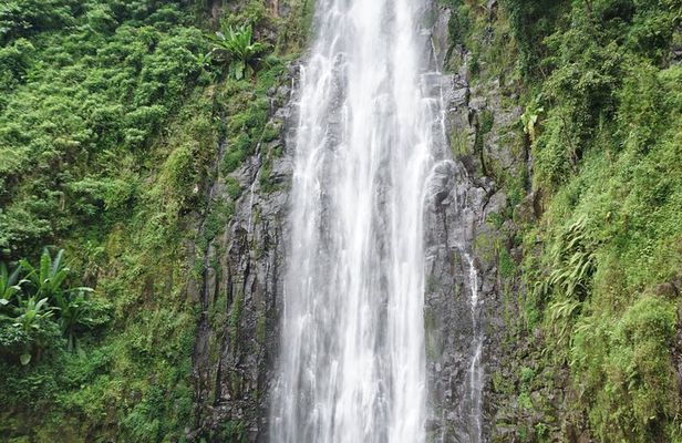 Day trip Materuni Waterfalls and Coffee Tour 