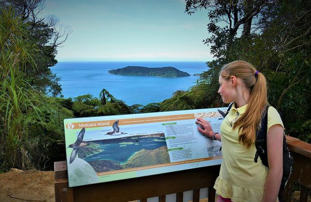 1-Day Cruise in Queen Charlotte Track & Kupes Trail Walk