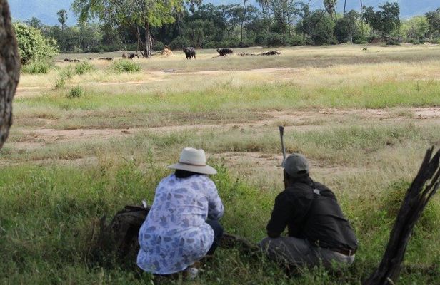 Zambezi National Park Walking Safari with Picnic Break Fast