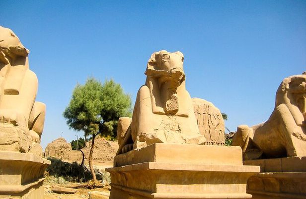 Full Day Guided Group Bus Tour To Luxor From Soma Bay